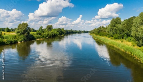 view of the river in summer