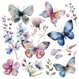 Watercolor Illustration with Vibrant Butterflies and Floral Elements for Design.