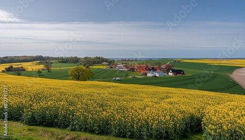 green and yellow farm fields with canola rapeseed in skane sweden during spring photo