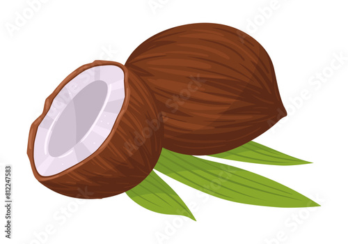 Cartoon coconut. Organic raw coconut with leaves, tasty snacks for vegetarian diet flat vector illustration. Coconut on white