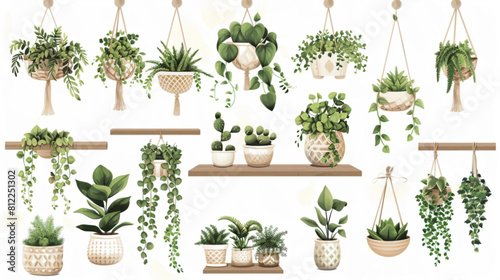 Indoor plants with decorative greenhouse elements. Green plants standing in pots on shelves, hanging in planter, macrame at cozy interior isolated on white background. 3D avatars set vector icon, whit