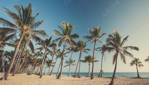 summer beach background palm trees against blue sky banner panorama travel destination tropical beach background with palm trees silhouette at sunset vintage effect meditation peaceful nature view