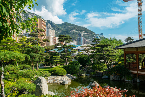 Amazing Japanese garden with pond and lantern and topiary pine trees