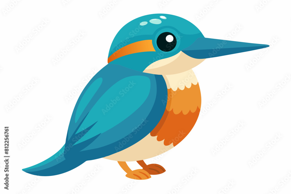 kingfisher bird cartoon vector illustration kingfisher bird cartoon vector illustration
