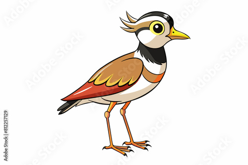 lapwing bird vector illustration