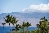 View over palm trees and across the bay of wind turbines generating clean green energy on Maui, Hawaii
