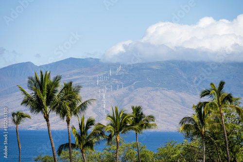 View over palm trees and across the bay of wind turbines generating clean green energy on Maui, Hawaii 