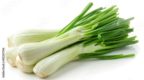 Vivid Studio Shot of Organic Thai Fennel Bunch Isolated on Clean White Background photo