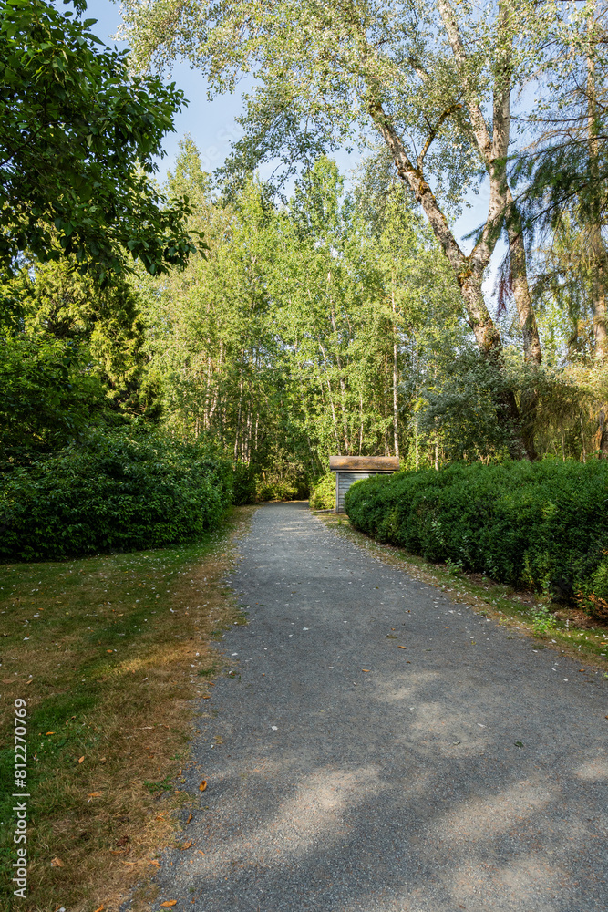 pathway and beautiful trees track for running or walking in the park pathway and beautiful trees track for running or walking in the park