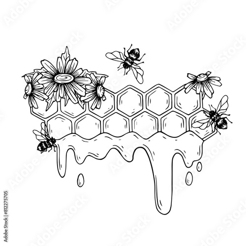 Sketch,doodle of a honeycomb with field chamomile flowers and honey bees.Vector graphics.