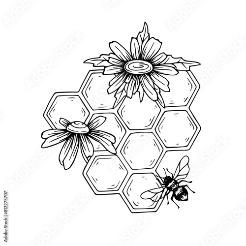 Sketch,doodle of a honeycomb with field chamomile flowers and honey bees.Vector graphics.