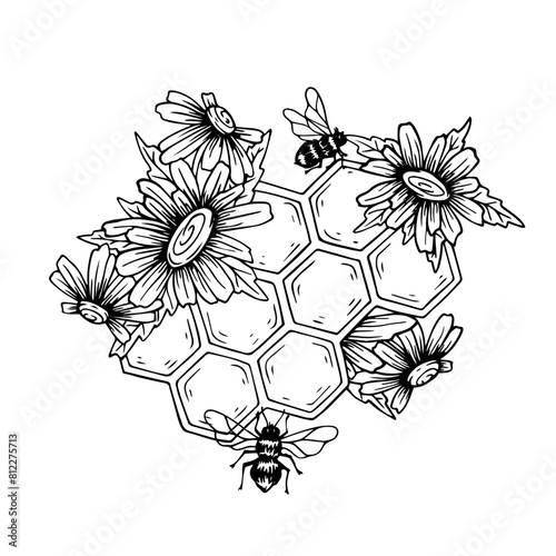 Sketch,doodle of a honeycomb with field chamomile flowers and honey bees.Vector graphics.