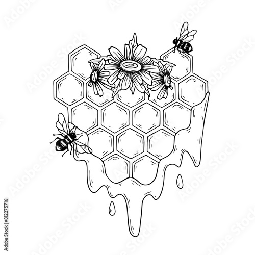 Sketch,doodle of a honeycomb with field chamomile flowers and honey bees.Vector graphics.