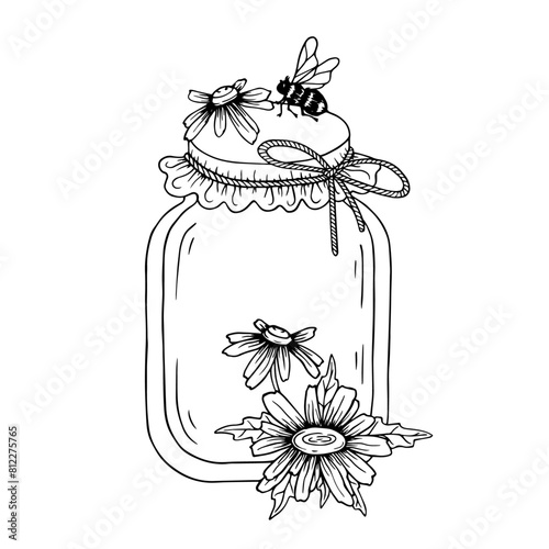 Sketch,doodle jars of honey with field chamomile flowers and honey bees.Vector graphics.