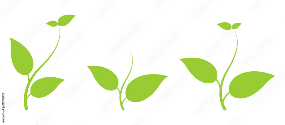 natural plant growth natural plant growth