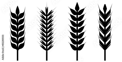 grain, wheat icon