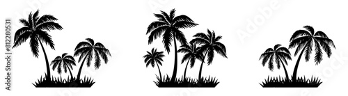 tropical coconut  palm tree silhouette