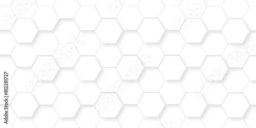 Abstract pattern with hexagonal white and gray technology line paper background. Hexagonal 3d grid tile and mosaic structure mess cell. white and gray hexagon honeycomb geometric copy space.
