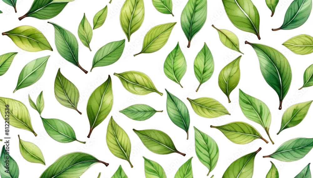 hand watercolor branch style wrapping green paper design element tea background leaves drawn textile leaf closeup isolated tree natural white herbal concept symbol summer drawing abstract hand watercolor branch style wrapping green paper design element tea background leaves drawn textile leaf closeup isolated tree natural white herbal concept symbol summer drawing abstract