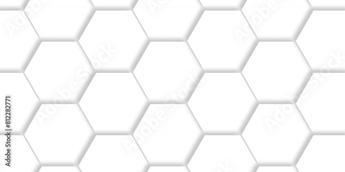 Vector abstract pattern with hexagonal white and gray technology line paper background. Hexagonal 3d grid tile and mosaic structure mess cell. white and gray hexagon honeycomb geometric copy space.