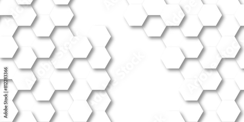  Vector abstract pattern with hexagonal white and gray technology line paper background. Hexagonal 3d grid tile and mosaic structure mess cell. white and gray hexagon honeycomb geometric copy space.