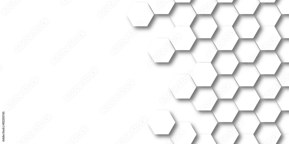 Vector abstract pattern with hexagonal white and gray technology line paper background. Hexagonal 3d grid tile and mosaic structure mess cell. white and gray hexagon honeycomb geometric copy space. Vector abstract pattern with hexagonal white and gray technology line paper background. Hexagonal 3d grid tile and mosaic structure mess cell. white and gray hexagon honeycomb geometric copy space.