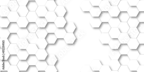 Vector abstract pattern with hexagonal white and gray technology line paper background. Hexagonal 3d grid tile and mosaic structure mess cell. white and gray hexagon honeycomb geometric copy space.