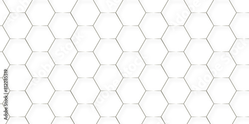 vector abstract pattern with hexagonal white and gray technology line paper background. Hexagonal 3d grid tile and mosaic structure mess cell. white and gray hexagon honeycomb geometric copy space.