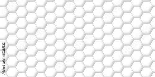 vector abstract pattern with hexagonal white and gray technology line paper background. Hexagonal 3d grid tile and mosaic structure mess cell. white and gray hexagon honeycomb geometric copy space.