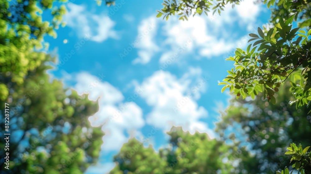 Beautiful blurred background image of spring nature with surrounded by trees against a blue sky with clouds on a bright