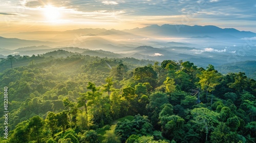 Doi Inthanon the lush forest crowning the picturesque landscape of Chiang Mai Thailand stands as one of the region s most iconic landmarks