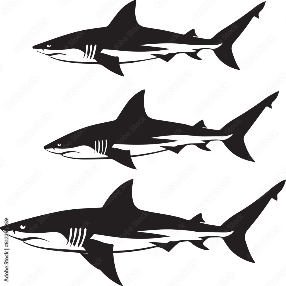 sharks sharks