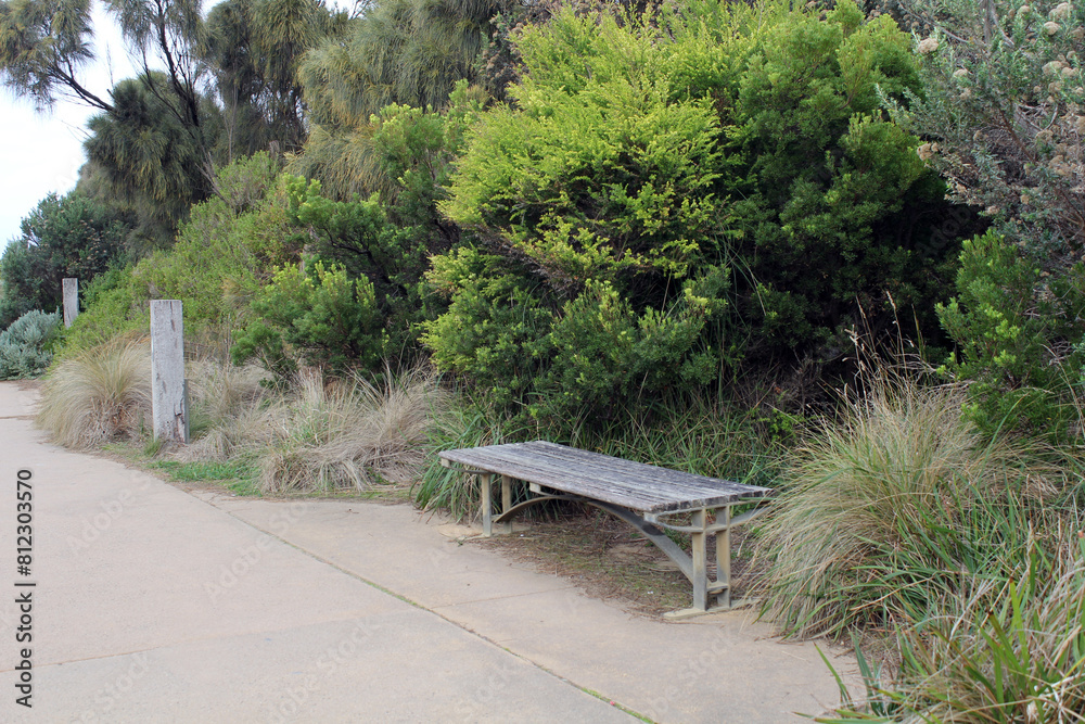 Fototapeta premium Peaceful outdoor setting with a concrete pathway, bench seat, grass and trees