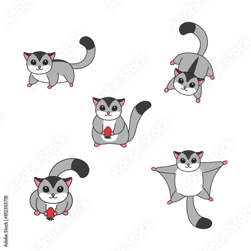 Cute sugar glider illustration