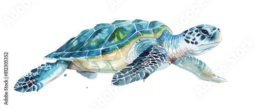 A minimal watercolor painting of a baby turtle making its way to the sea is incredibly sweet, Clipart minimal watercolor isolated on white background