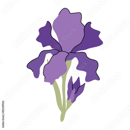 iris flower flat illustration