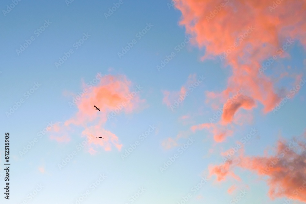 clouds in the sunset sky clouds in the sunset sky