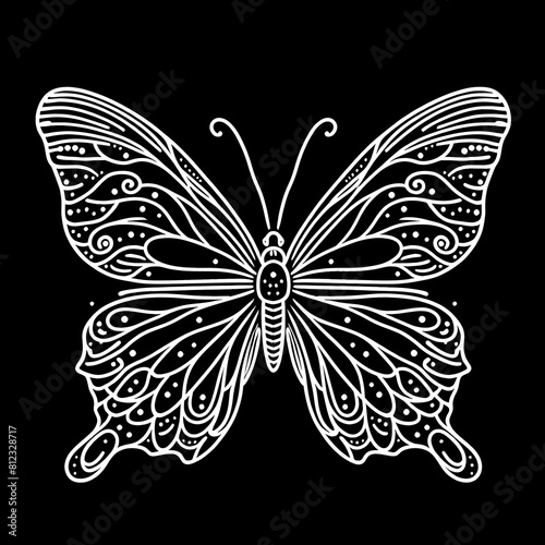 Black and white butterfly photo