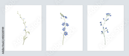 Floral wall art set, minimalist assorted blue wildflowers on grey background
