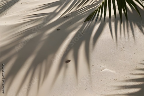 palm leaf shadow on abstract white sand beach background, sun lights on water surface, beautiful abstract background concept banner. Generative AI 