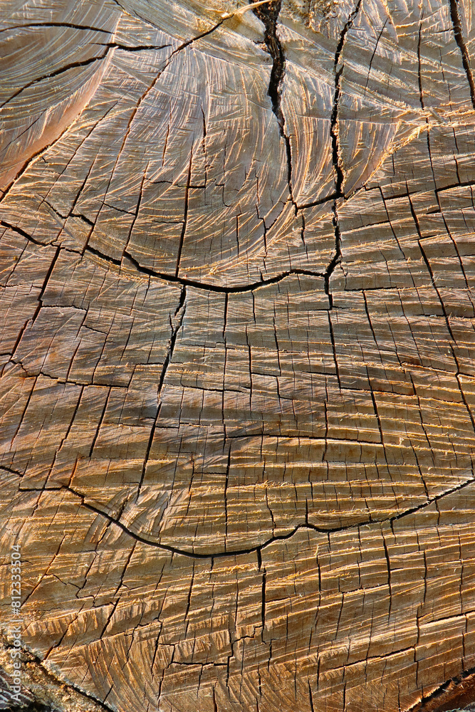 Fototapeta premium Old wooden texture for background that has natural.