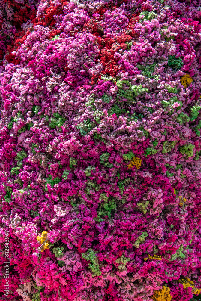 A rock covered in a colorful flowery plant