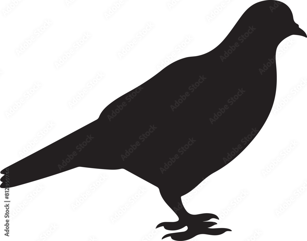 Obraz premium Pigeon Silhouette Vector Illustration White Background