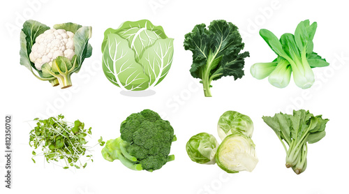Cruciferous vegetables, set illustration, transparent background