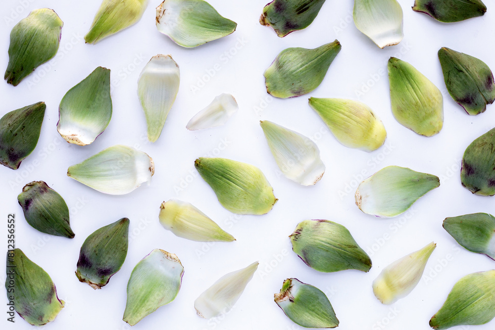 Fresh artichoke petals on white background Fresh artichoke petals on white background