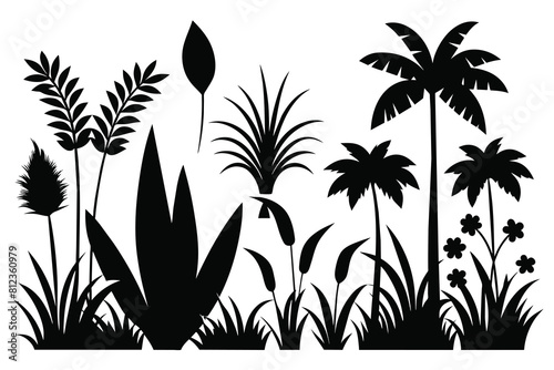 Tropical Plant And Grass In Silhouette Vector