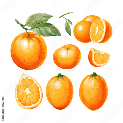 a drawing of oranges and leaves with a green leaf