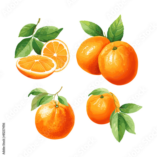 a drawing of oranges and leaves with a green leaf