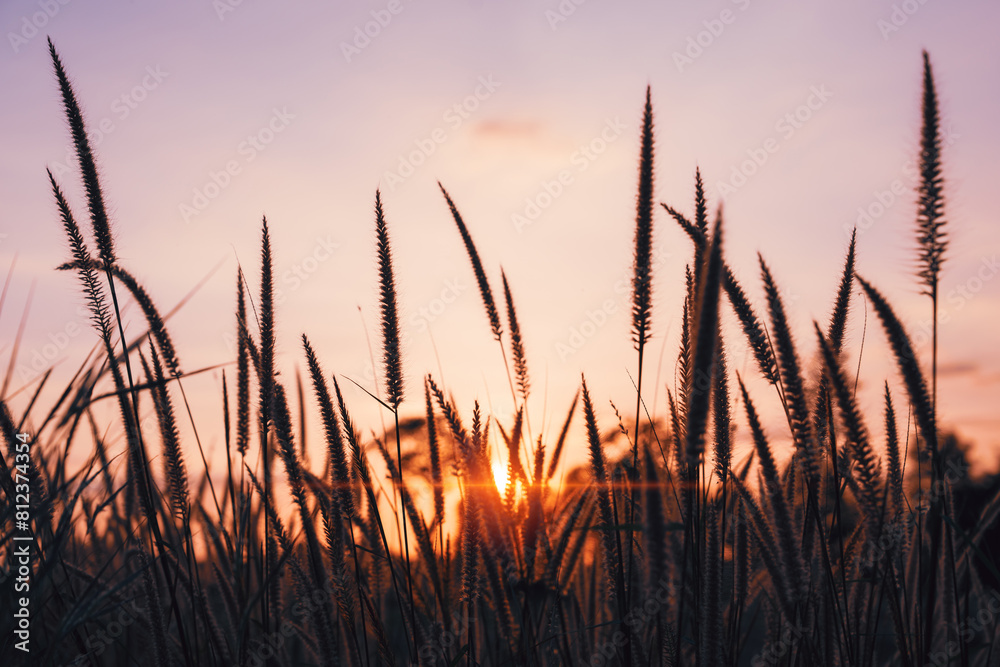 Peaceful nature evening scenery, autumn background. Summer sunset countryside evening spring Peaceful nature evening scenery, autumn background. Summer sunset countryside evening spring