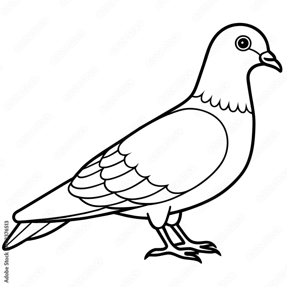Pigeon vector silhouette illustration line art Pigeon vector silhouette illustration line art